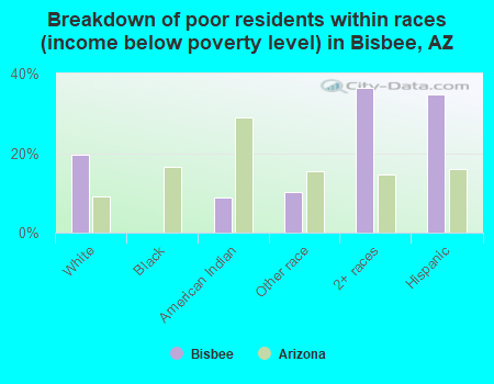 Breakdown of poor residents within races (income below poverty level) in Bisbee, AZ