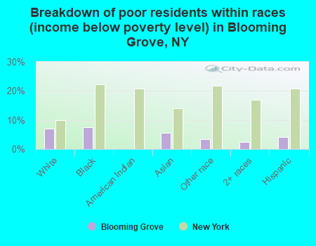 Breakdown of poor residents within races (income below poverty level) in Blooming Grove, NY