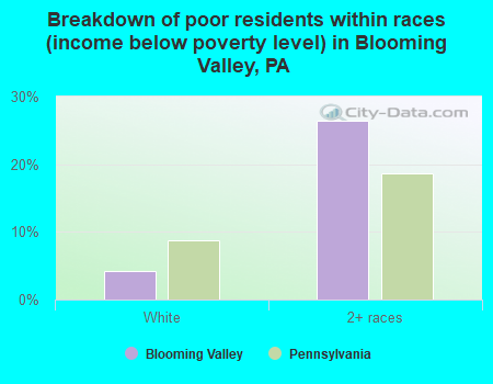 Breakdown of poor residents within races (income below poverty level) in Blooming Valley, PA