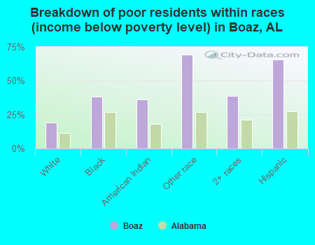 Breakdown of poor residents within races (income below poverty level) in Boaz, AL
