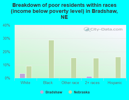 Breakdown of poor residents within races (income below poverty level) in Bradshaw, NE