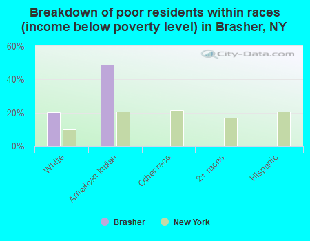Breakdown of poor residents within races (income below poverty level) in Brasher, NY