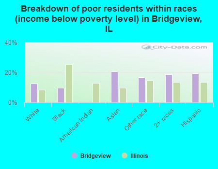 Breakdown of poor residents within races (income below poverty level) in Bridgeview, IL