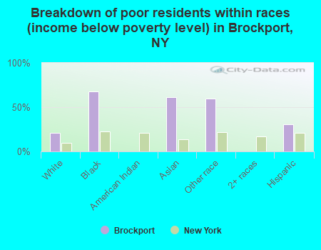 Breakdown of poor residents within races (income below poverty level) in Brockport, NY