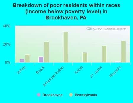 Breakdown of poor residents within races (income below poverty level) in Brookhaven, PA