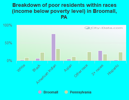 Breakdown of poor residents within races (income below poverty level) in Broomall, PA