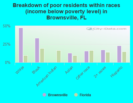 Breakdown of poor residents within races (income below poverty level) in Brownsville, FL