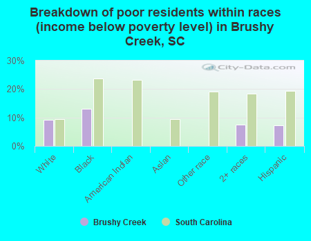 Breakdown of poor residents within races (income below poverty level) in Brushy Creek, SC