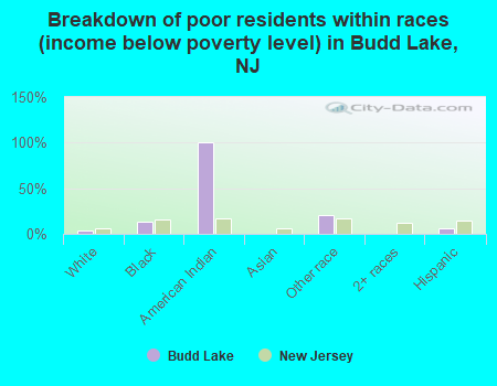 Breakdown of poor residents within races (income below poverty level) in Budd Lake, NJ