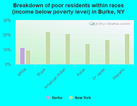 Breakdown of poor residents within races (income below poverty level) in Burke, NY