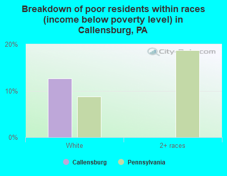 Breakdown of poor residents within races (income below poverty level) in Callensburg, PA