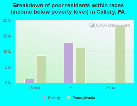 Breakdown of poor residents within races (income below poverty level) in Callery, PA