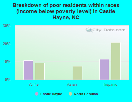 Breakdown of poor residents within races (income below poverty level) in Castle Hayne, NC