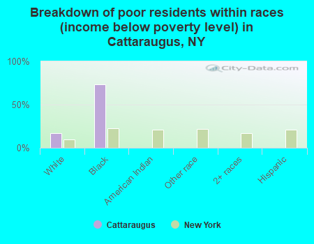 Breakdown of poor residents within races (income below poverty level) in Cattaraugus, NY