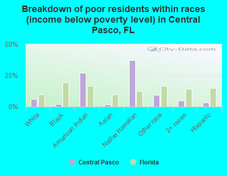 Breakdown of poor residents within races (income below poverty level) in Central Pasco, FL