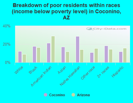 Breakdown of poor residents within races (income below poverty level) in Coconino, AZ