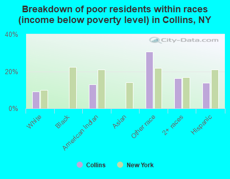 Breakdown of poor residents within races (income below poverty level) in Collins, NY