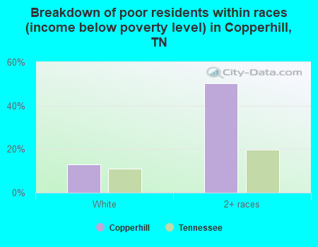 Breakdown of poor residents within races (income below poverty level) in Copperhill, TN