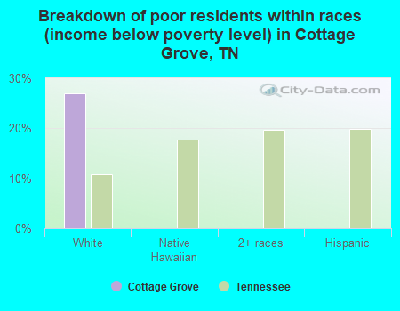 Breakdown of poor residents within races (income below poverty level) in Cottage Grove, TN
