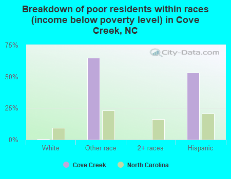 Breakdown of poor residents within races (income below poverty level) in Cove Creek, NC