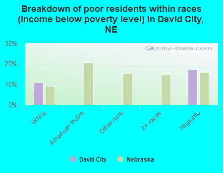 Breakdown of poor residents within races (income below poverty level) in David City, NE