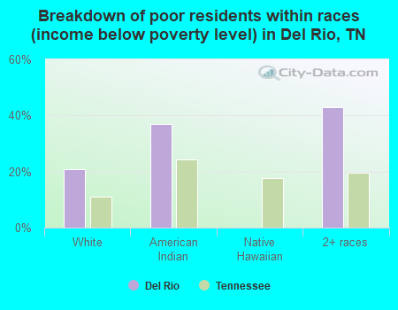 Breakdown of poor residents within races (income below poverty level) in Del Rio, TN