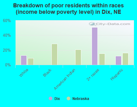 Breakdown of poor residents within races (income below poverty level) in Dix, NE