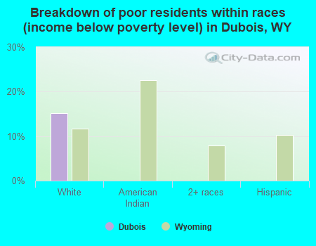 Breakdown of poor residents within races (income below poverty level) in Dubois, WY