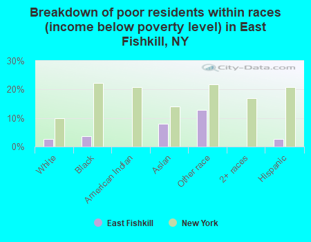 Breakdown of poor residents within races (income below poverty level) in East Fishkill, NY