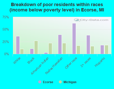 Breakdown of poor residents within races (income below poverty level) in Ecorse, MI