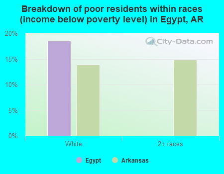 Breakdown of poor residents within races (income below poverty level) in Egypt, AR