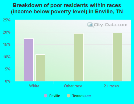 Breakdown of poor residents within races (income below poverty level) in Enville, TN