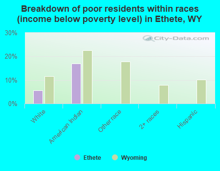 Breakdown of poor residents within races (income below poverty level) in Ethete, WY