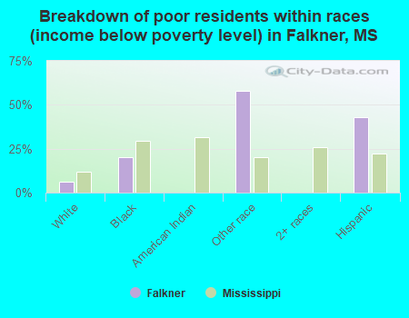 Breakdown of poor residents within races (income below poverty level) in Falkner, MS