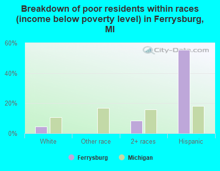 Breakdown of poor residents within races (income below poverty level) in Ferrysburg, MI