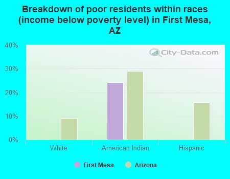 Breakdown of poor residents within races (income below poverty level) in First Mesa, AZ