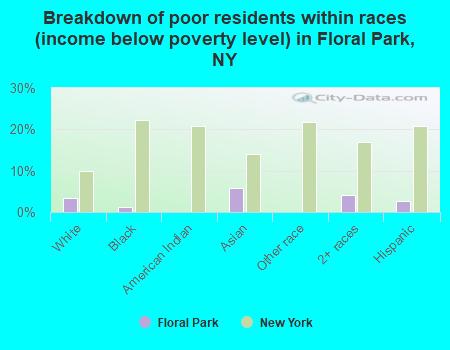Breakdown of poor residents within races (income below poverty level) in Floral Park, NY