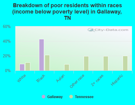 Breakdown of poor residents within races (income below poverty level) in Gallaway, TN