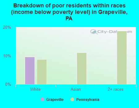 Breakdown of poor residents within races (income below poverty level) in Grapeville, PA