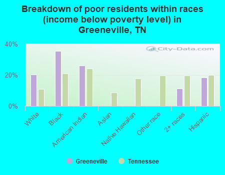 Breakdown of poor residents within races (income below poverty level) in Greeneville, TN