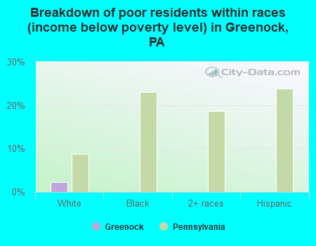 Breakdown of poor residents within races (income below poverty level) in Greenock, PA