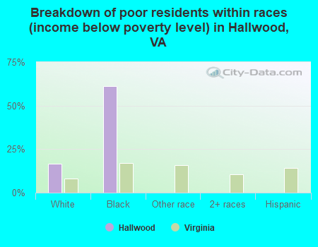 Breakdown of poor residents within races (income below poverty level) in Hallwood, VA
