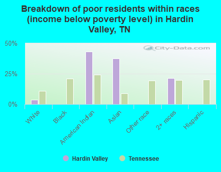 Breakdown of poor residents within races (income below poverty level) in Hardin Valley, TN