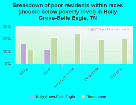 Breakdown of poor residents within races (income below poverty level) in Holly Grove-Belle Eagle, TN