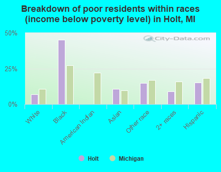 Breakdown of poor residents within races (income below poverty level) in Holt, MI