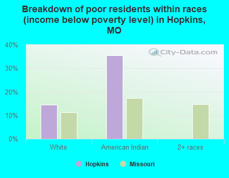 Breakdown of poor residents within races (income below poverty level) in Hopkins, MO