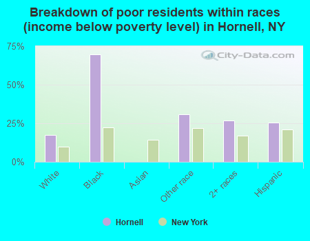 Breakdown of poor residents within races (income below poverty level) in Hornell, NY
