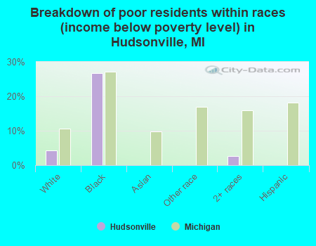 Breakdown of poor residents within races (income below poverty level) in Hudsonville, MI
