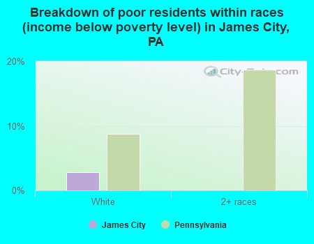 Breakdown of poor residents within races (income below poverty level) in James City, PA