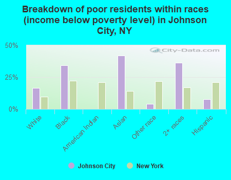 Breakdown of poor residents within races (income below poverty level) in Johnson City, NY